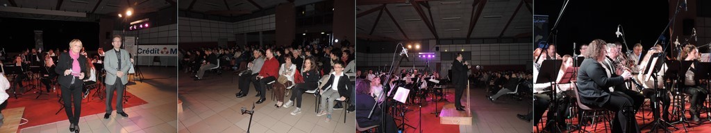 Concert Musiques en vignes du 19/2/16 à Fronton 