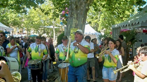 Saveursetsenteurs2009grappsdelnegret