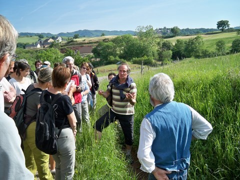 Mouretrandonnéedesorchidées2011