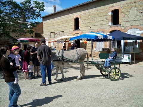 chateaucazeVillaudricportesouvertes2011