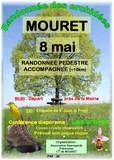 Mouretrandonnéedesorchidées2011