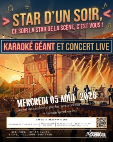 VILLEMUR sur TARN : Concert le 5/8